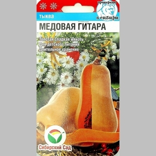 Тыква Медовая гитара