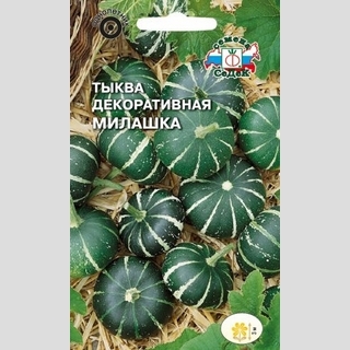 Тыква Милашка декоративная