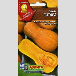 Тыква Гитара