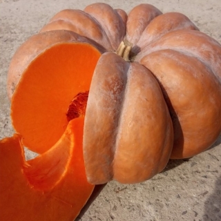 Тыква Мускатная Прованская