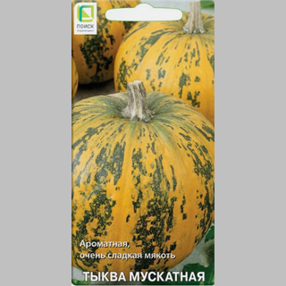 Тыква Мускатная