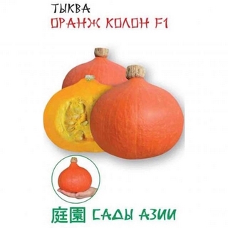 Тыква Оранж Колон F1