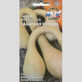 Тыква Сахарная Булава F1