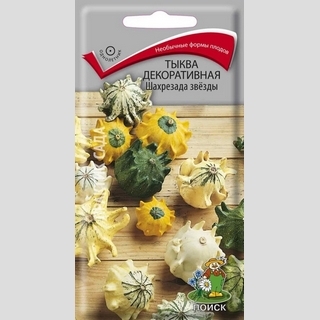 Тыква Шахрезада Звёзды декоративная