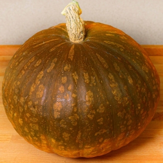 Тыква Шоколадная Москвичка