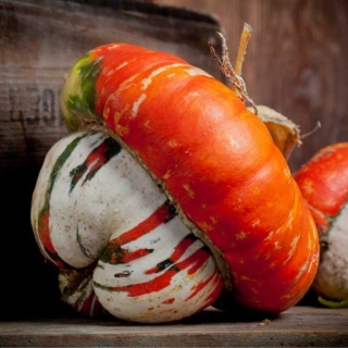 Тыква Восточный тюрбан декоративная