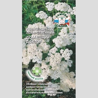 Тысячелистник лекарственный домашний Доктор