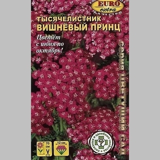 Тысячелистник Вишнёвый принц