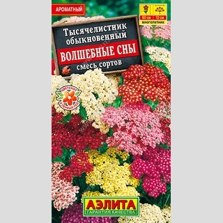 Тысячелистник Волшебные сны смесь сортов