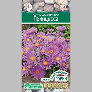 Астра Принцесса (альпийская)