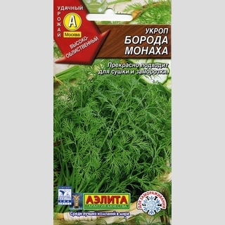 Укроп Борода монаха