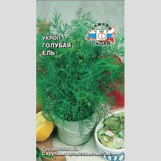 Укроп Голубая ель