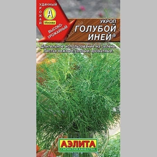 Укроп Голубой иней