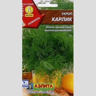 Укроп Карлик