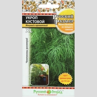 Укроп Русский размер