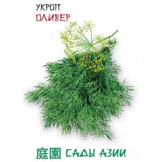 Укроп Оливер