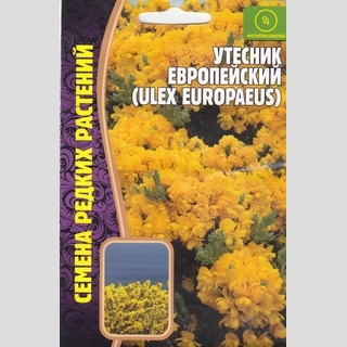 Утесник Европейский
