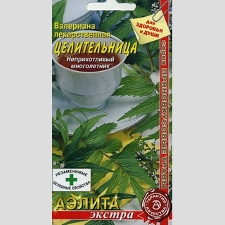 Валериана Целительница (лекарственная)