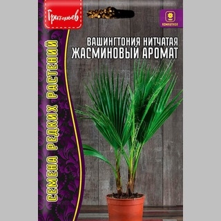 Вашингтония Жасминовый аромат нитчатая (большой пакет)