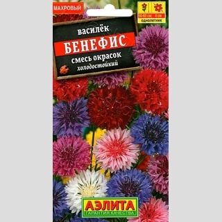 Василек Бенефис махровый смесь окрасок