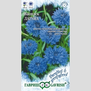Василек Лагуна синий