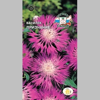 Василек Признание (луговой)