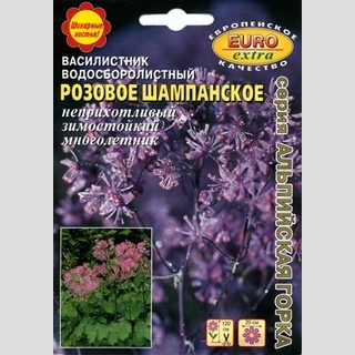 Василистник Розовое шампанское (водосборолистный)