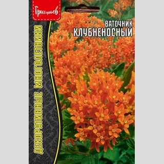 Ваточник клубненосный (большой пакет)