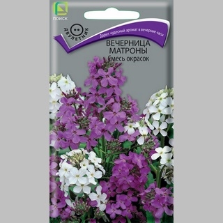 Вечерница Матроны Смесь окрасок (хесперис)