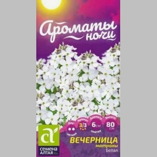 Вечерница Матроны Белая