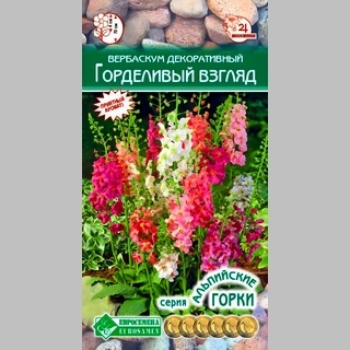 Вербаскум Горделивый Взгляд