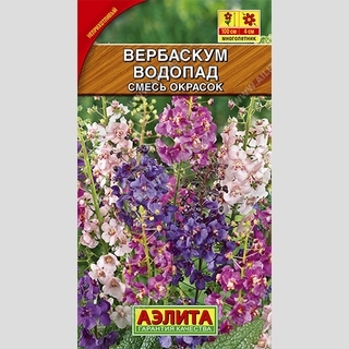 Вербаскум Водопад смесь окрасок