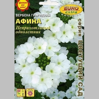 Вербена Афина