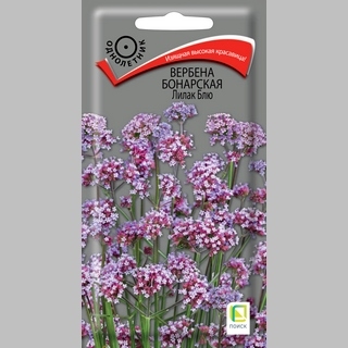 Вербена Лилак Блю бонарская