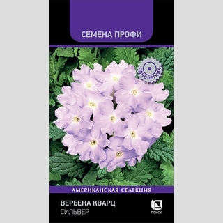 Вербена Кварц Сильвер