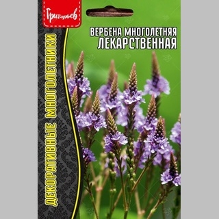 Вербена Лекарственная многолетняя (большой пакет)