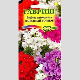 Вербена Нарядный бордюр