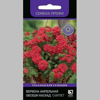 Вербена Обсешн Каскад Скарлет (Семена Профи)