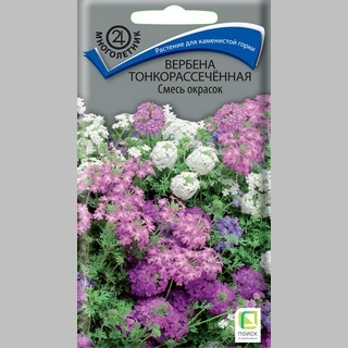 Вербена тонкорассеченная Смесь окрасок
