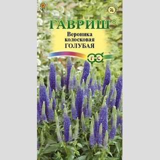 Вероника Голубая (колосковая)