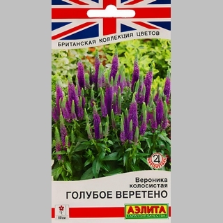 Вероника Голубое веретено