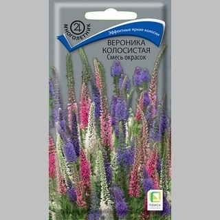 Вероника колосистая Смесь окрасок