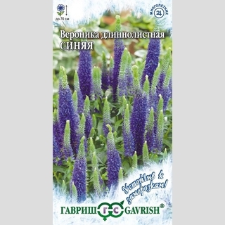 Вероника Синяя (длиннолистная)