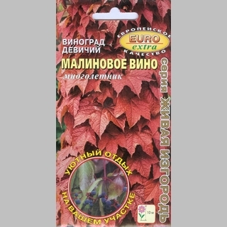Виноград Малиновое вино (девичий)