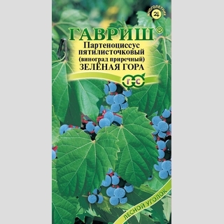 Партеноциссус Зеленая гора прибрежный (виноград)