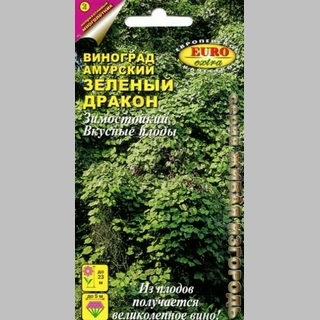 Виноград Зелёный дракон (амурский)