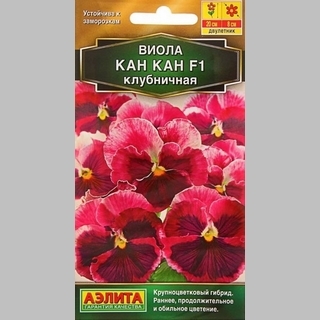 Виола Кан Кан Клубничная F1