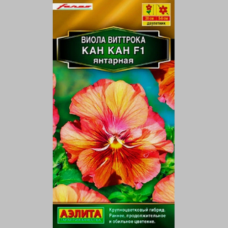 Виола Кан Кан Янтарная F1