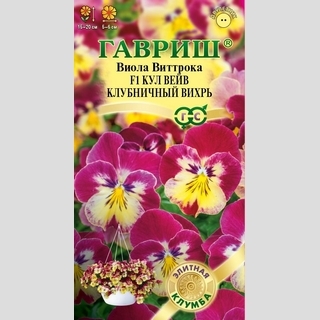 Виола Кул Вейв Клубничный вихрь F1