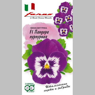 Виола Пандора Пурпурная F1 (Виттрока)